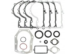 Set garnituri motor tractoras tuns gazon Briggs & Stratton 494241, 490525